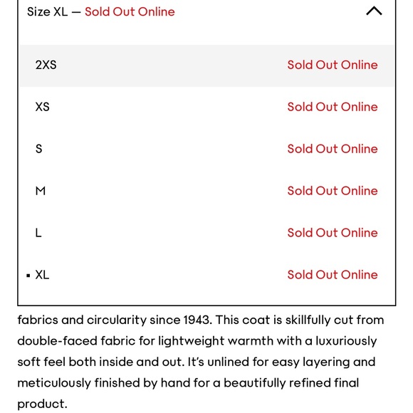 NWT Aritzia The Slouch Coat - Picture 12 of 12